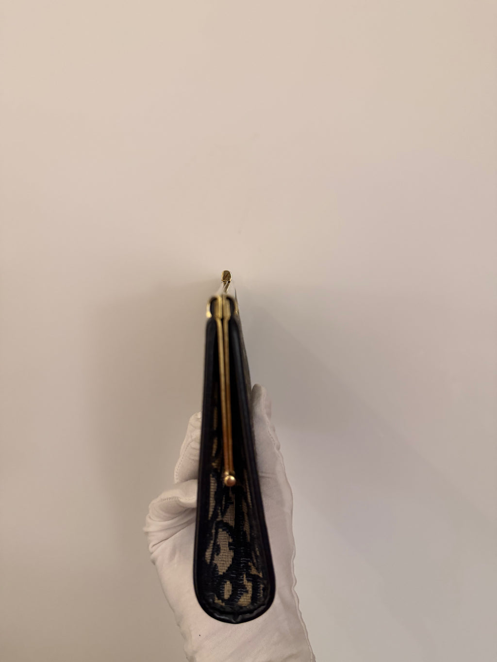 Dior Trotter Clutch